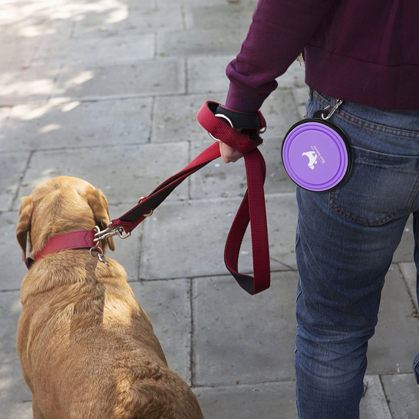 Collapsible Dog Bowls, 2 Pack Sturdy Portable Dog Water Bowls | Wear-Resistant TPE, Anti-Dust Foldable Travel Dog & Cat Bowls for Camping Walking Hiking with Carabiners