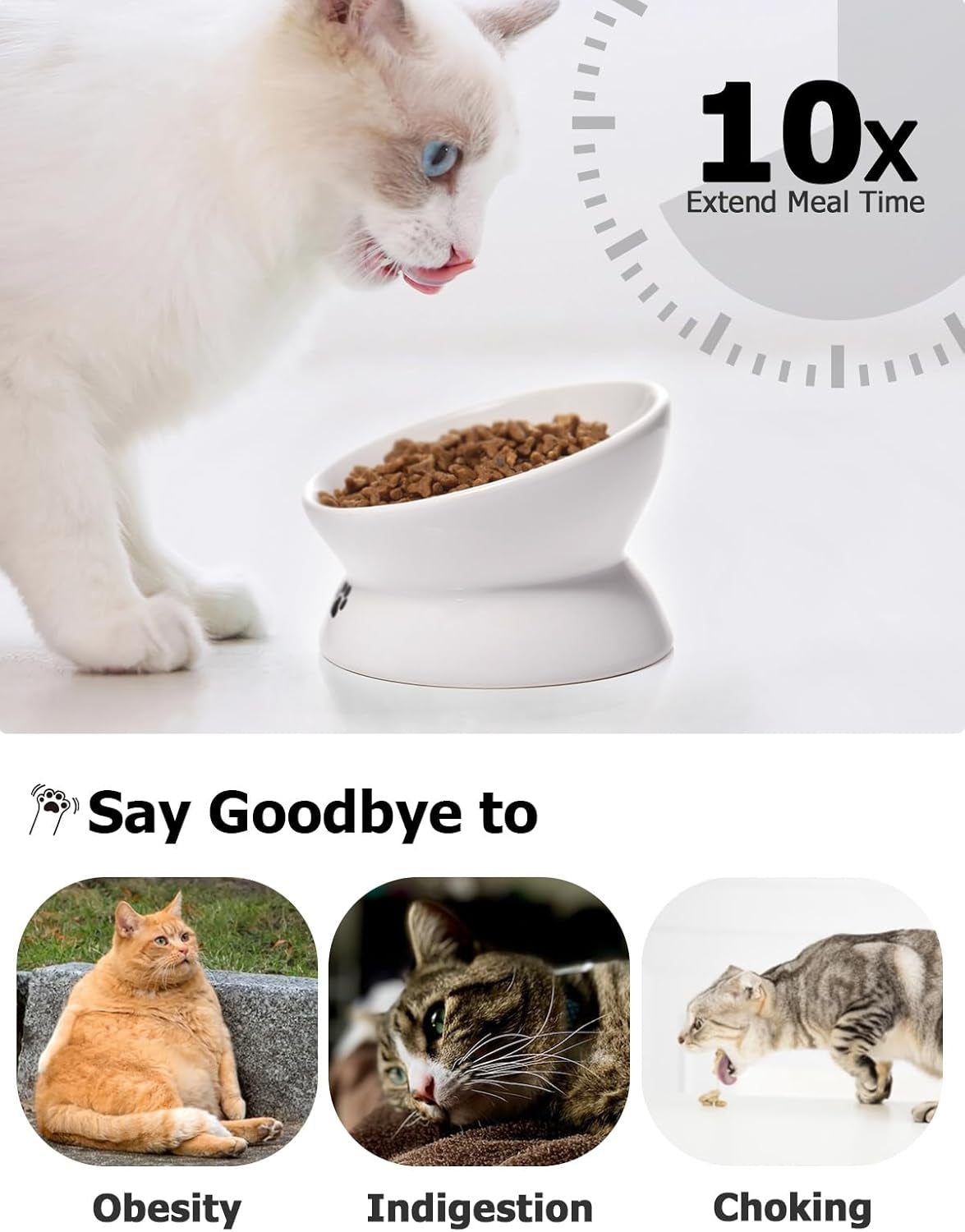 Elevated Anti-Vomiting Cat Bowl - Ceramic Tilted Food Dish for Flat-Faced Cats & Small Dogs - Protects Spine, Dishwasher Safe, 5 Inches, White