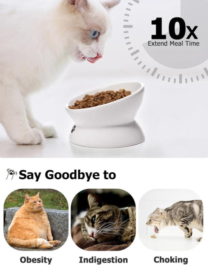 Elevated Anti-Vomiting Cat Bowl - Ceramic Tilted Food Dish for Flat-Faced Cats & Small Dogs - Protects Spine, Dishwasher Safe, 5 Inches, White