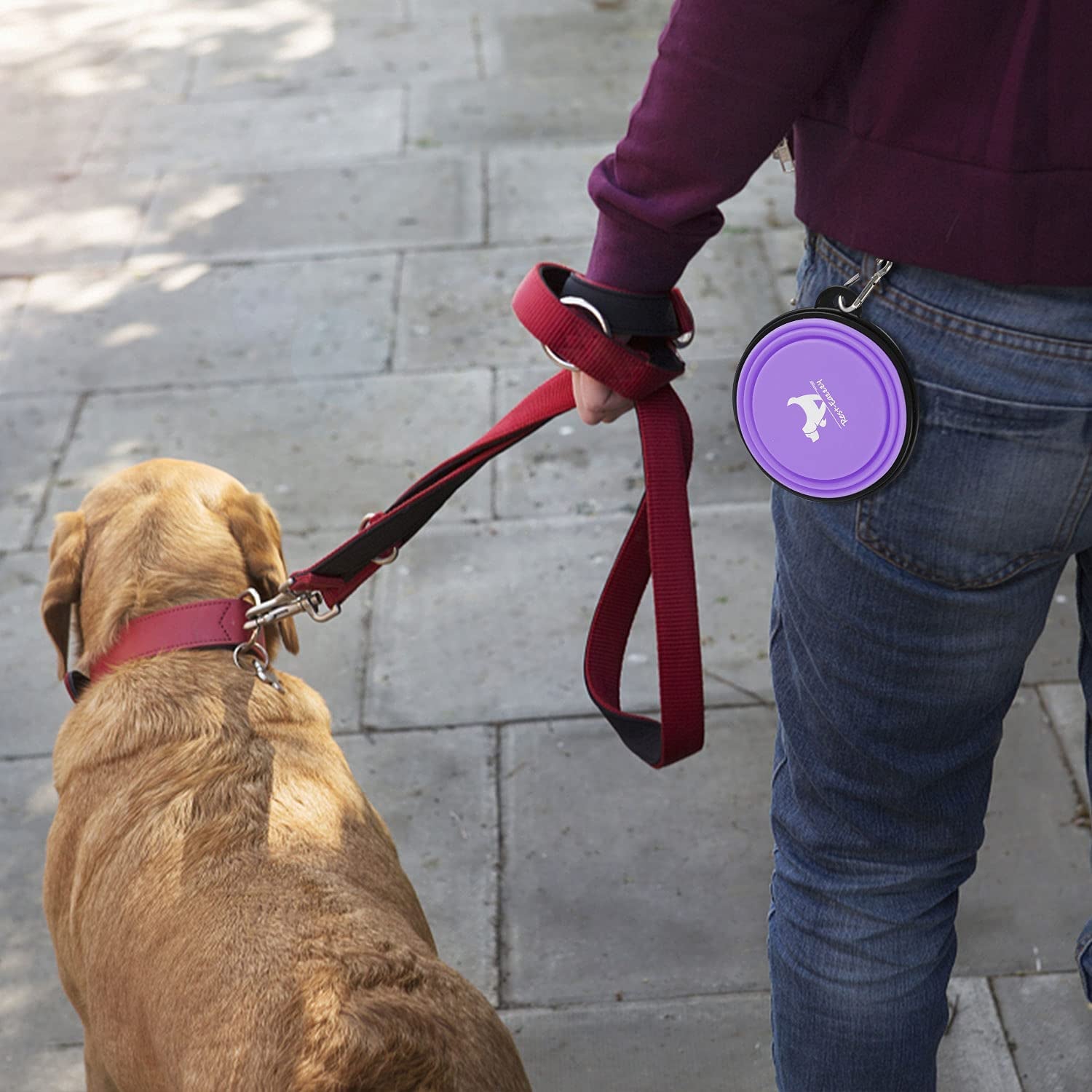 Collapsible Dog Bowls, 2 Pack Sturdy Portable Dog Water Bowls | Wear-Resistant TPE, Anti-Dust Foldable Travel Dog & Cat Bowls for Camping Walking Hiking with Carabiners