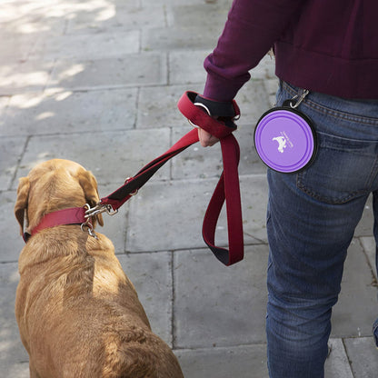 Collapsible Dog Bowls, 2 Pack Sturdy Portable Dog Water Bowls | Wear-Resistant TPE, Anti-Dust Foldable Travel Dog & Cat Bowls for Camping Walking Hiking with Carabiners