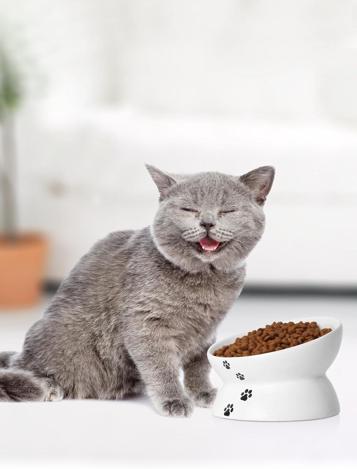 Elevated Anti-Vomiting Cat Bowl - Ceramic Tilted Food Dish for Flat-Faced Cats & Small Dogs - Protects Spine, Dishwasher Safe, 5 Inches, White