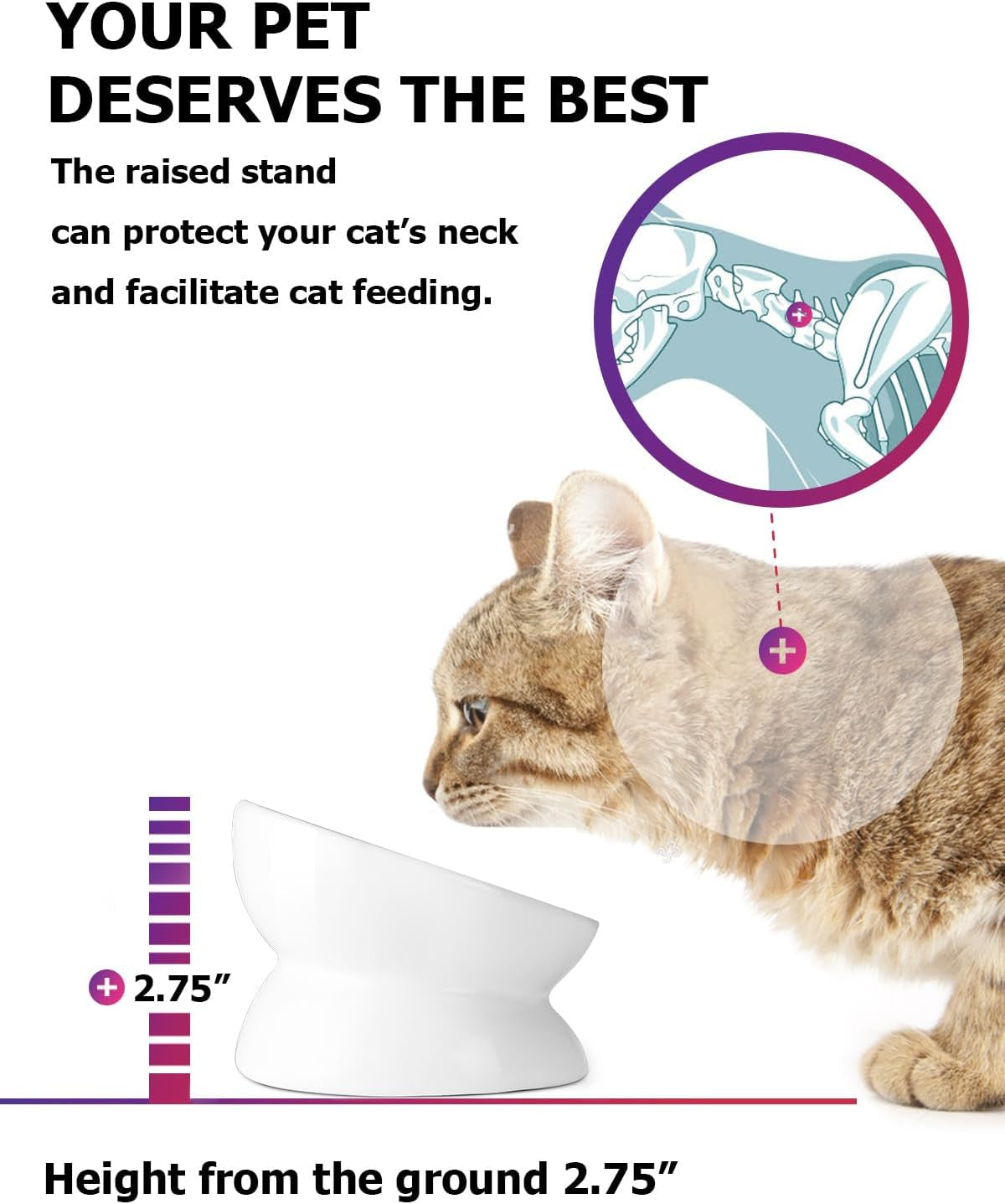 Elevated Anti-Vomiting Cat Bowl - Ceramic Tilted Food Dish for Flat-Faced Cats & Small Dogs - Protects Spine, Dishwasher Safe, 5 Inches, White