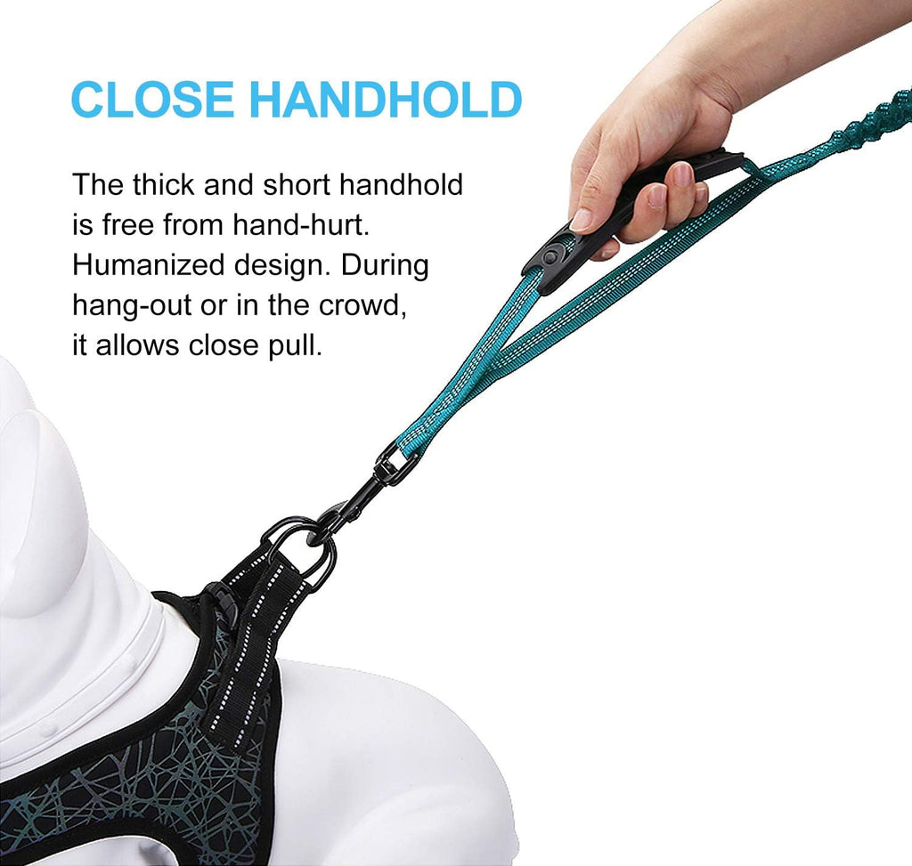 6FT Heavy Duty Reflective Bungee Dog Leash with Padded Handles - Shock Absorbing & Ideal for Training Medium to Large Dogs