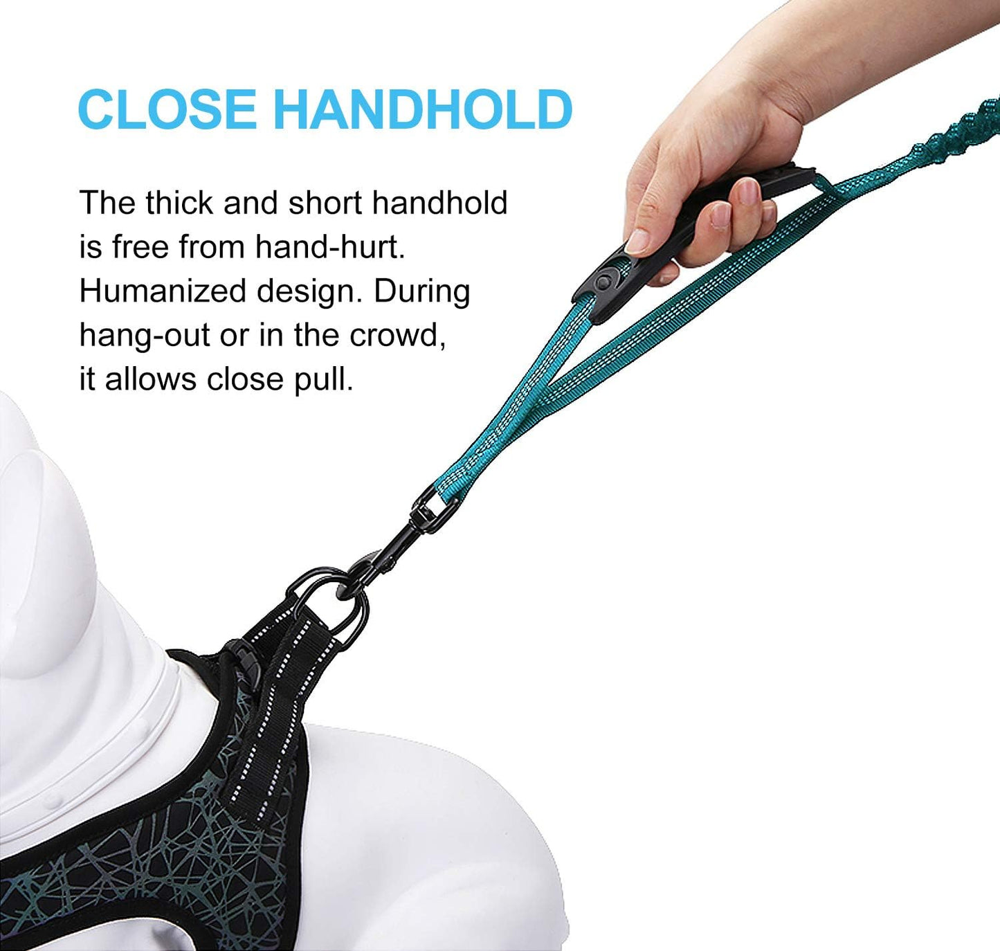 6FT Heavy Duty Reflective Bungee Dog Leash with Padded Handles - Shock Absorbing & Ideal for Training Medium to Large Dogs