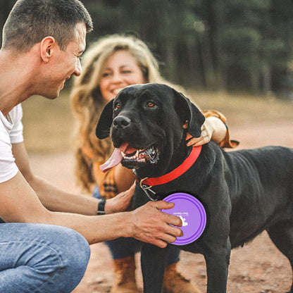 Collapsible Dog Bowls, 2 Pack Sturdy Portable Dog Water Bowls | Wear-Resistant TPE, Anti-Dust Foldable Travel Dog & Cat Bowls for Camping Walking Hiking with Carabiners
