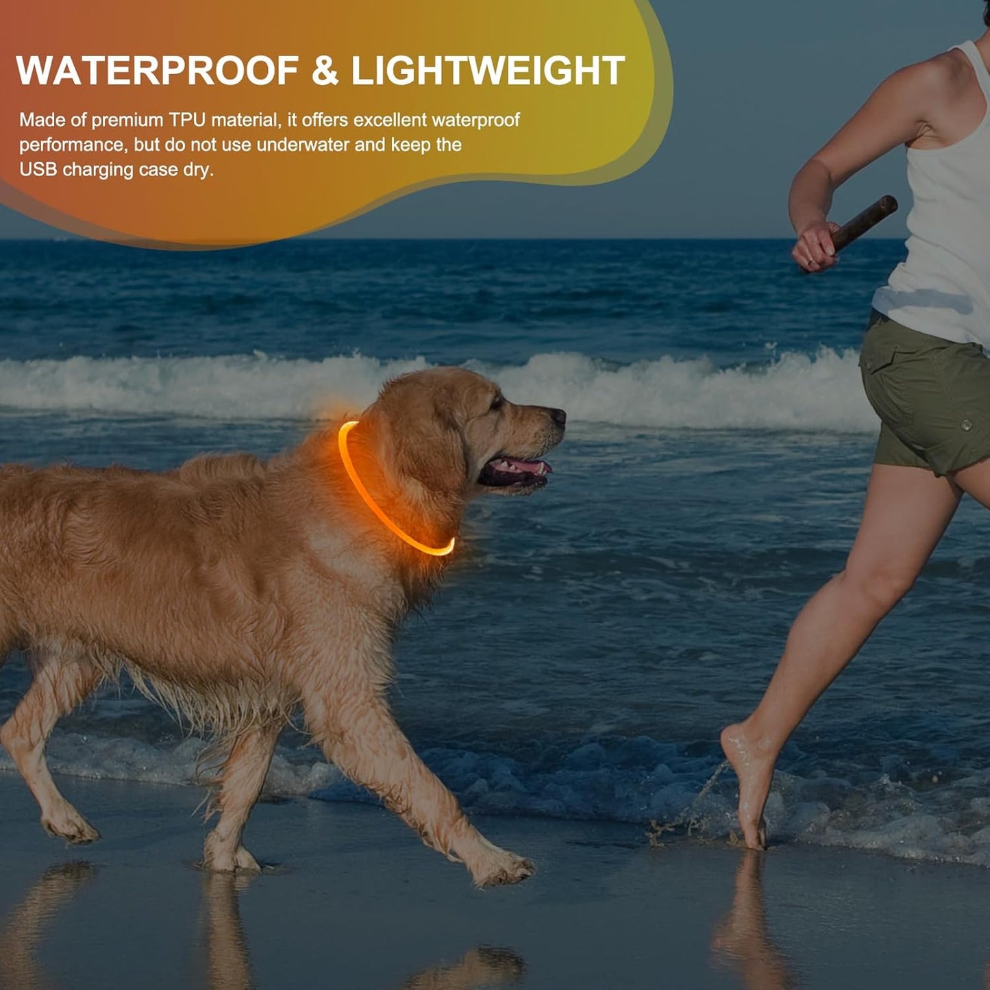 Lighted Dog Collar - Waterproof Puppy Collar Light Rechargeable, High Visibility Glowing Dog Lights for Night Walking (Orange)