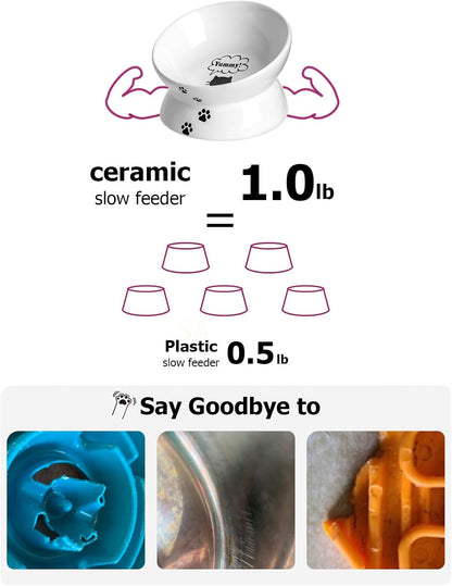 Elevated Anti-Vomiting Cat Bowl - Ceramic Tilted Food Dish for Flat-Faced Cats & Small Dogs - Protects Spine, Dishwasher Safe, 5 Inches, White