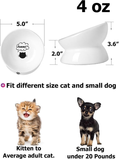 Elevated Anti-Vomiting Cat Bowl - Ceramic Tilted Food Dish for Flat-Faced Cats & Small Dogs - Protects Spine, Dishwasher Safe, 5 Inches, White
